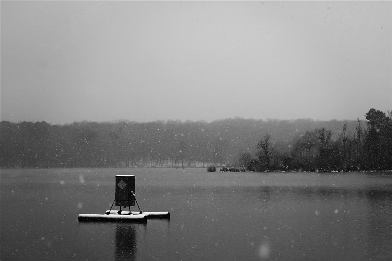 photography — photo 6